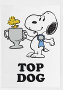 GT Top dog